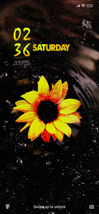 Sunflower Bubbles