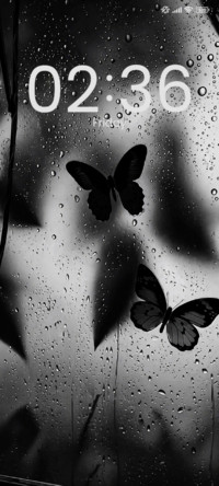 Night ✨ Drops