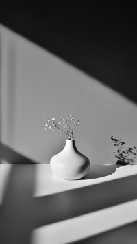 with small white flowers in geometric shadows from sunlight