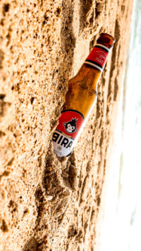 Beer Lovers Day (7)