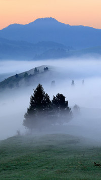 There Was A Heavy Fog in The Mountains