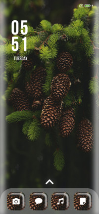 Pine_Three
