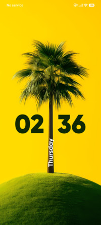 Palm Hill