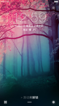 迷雾森林（旗舰版）