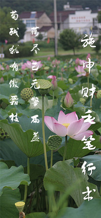 施申财毛笔行书