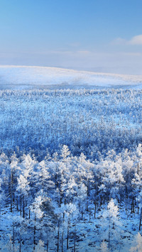 The current round of blizzard in Northeast China is extreme