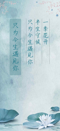 只为今生遇见你