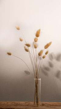 Delicate dried florals on grey background