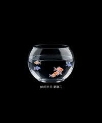 熊非熊 双色水族馆
