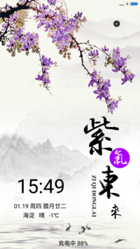 紫藤花开