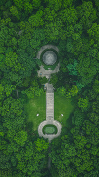 Zhongshan pines and cypresses reflect the tombstone