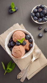 The recipe for ice cream turned out to be so simple 87