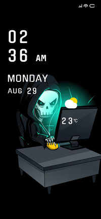 Hacker