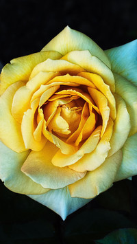 133895_1440x2560.jpg