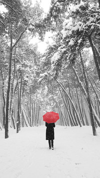 The meteorological station issued six consecutive