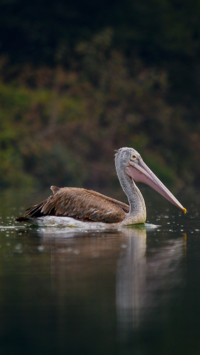 Banu Prakash (3)