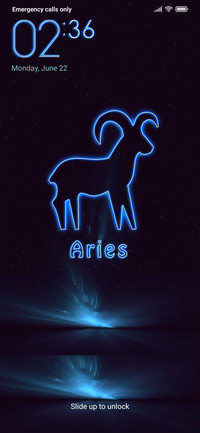  In Designs Zodiac Mania