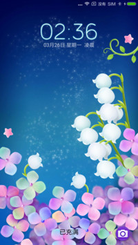 星空下的花朵