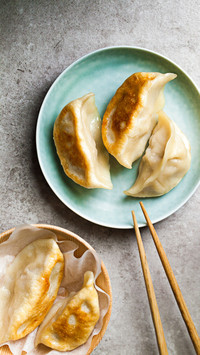 风味锅贴
