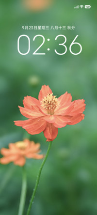 绿茵花开
