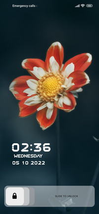 Classic_Design