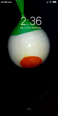 Indian Ballon_DWM2