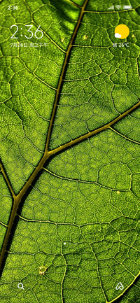 nature greeny