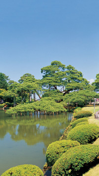 日本“小京都”金泽