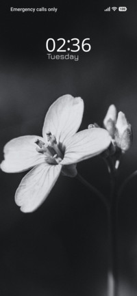 Dream Focus