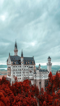 The Castle Stands in Red Pine Forest