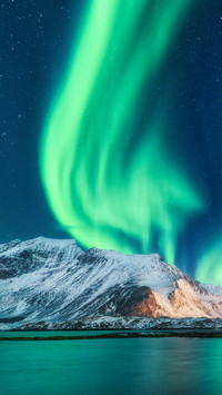 Green northern lights in Lofoten islands, Norway