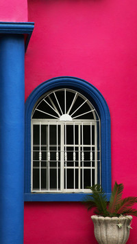 Colorful building with beautiful window and steel grilles ou