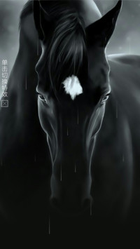 黑马