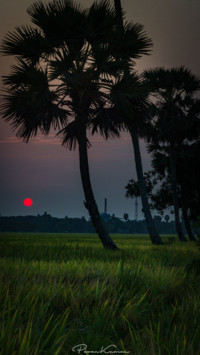 PavanKumar (3)