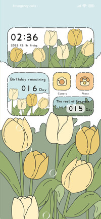 Dream tulips