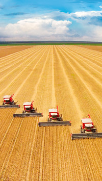 Harvest working in soybean harvest in the state of Mato Gros