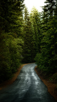 Road Trip (8)