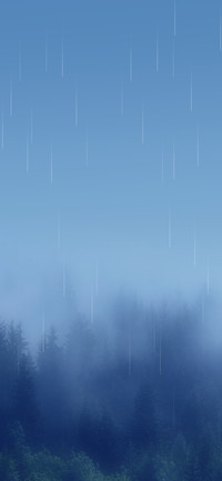雨水森林