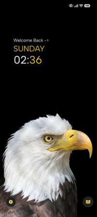 Eagle Watch
