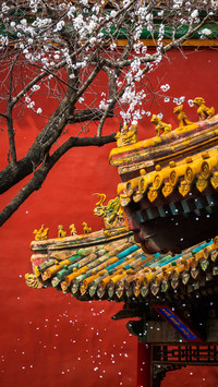 Palace Palace 53