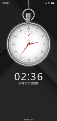 极质