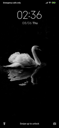 Swan - Dark_3MDS