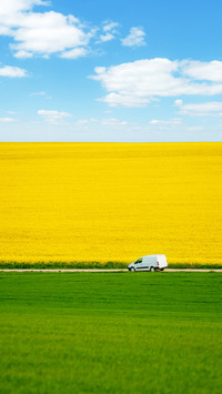 a Spring Field That Is Divided into Colored Sectors