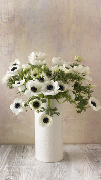 Powder instead of flower manure 82