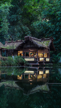 Fall in love with chengdu