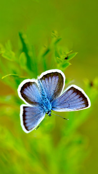 The Beauty of Nature