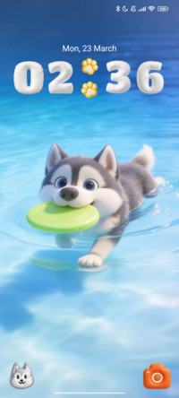 Tobby in the pool