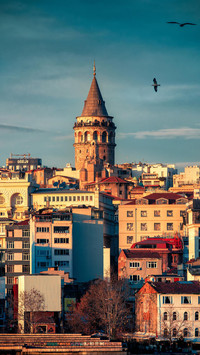 VCG211291811005