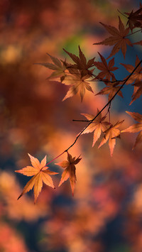 The autumnal equinox is approaching 1