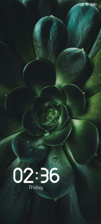 Green Flower